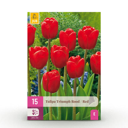 Bloembollen - Tulp Triumph Red - Kleur Rood - 15 stuks - Bolmaat 11/12 - XXL Pack