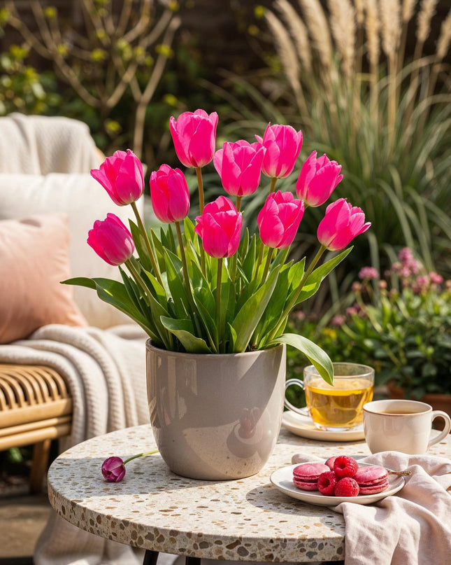 Bloembollen - Tulp Triumph Pink - Kleur Roze - 15 stuks - Bolmaat 11/12 - XXL Pack