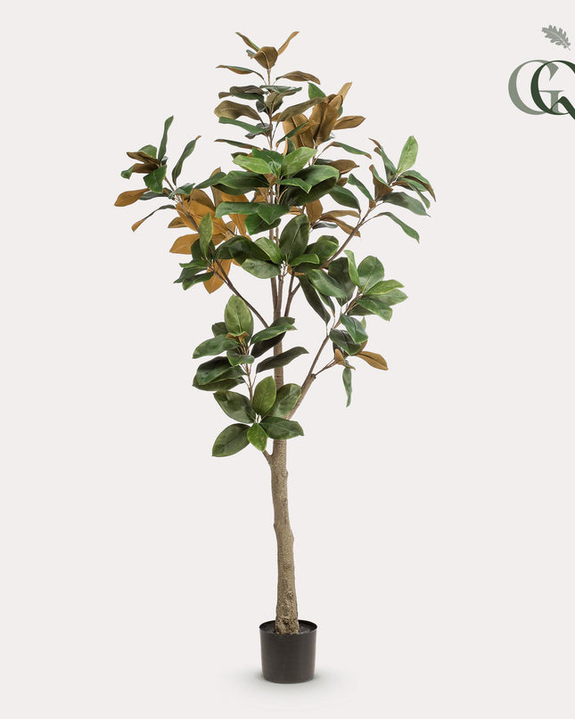 Kunstplant - Magnolia Grandiflora - ↕ 180 cm