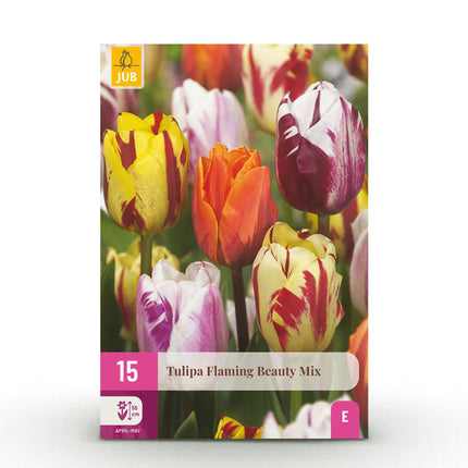 Bloembollen - Tulp Flaming Beauty mix - Diversen Kleuren - 15 stuks - Bolmaat 11/12 - XXL Pack