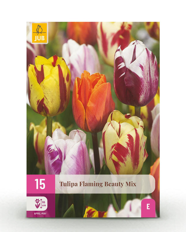 Bloembollen - Tulp Flaming Beauty mix - Diversen Kleuren - 15 stuks - Bolmaat 11/12 - XXL Pack