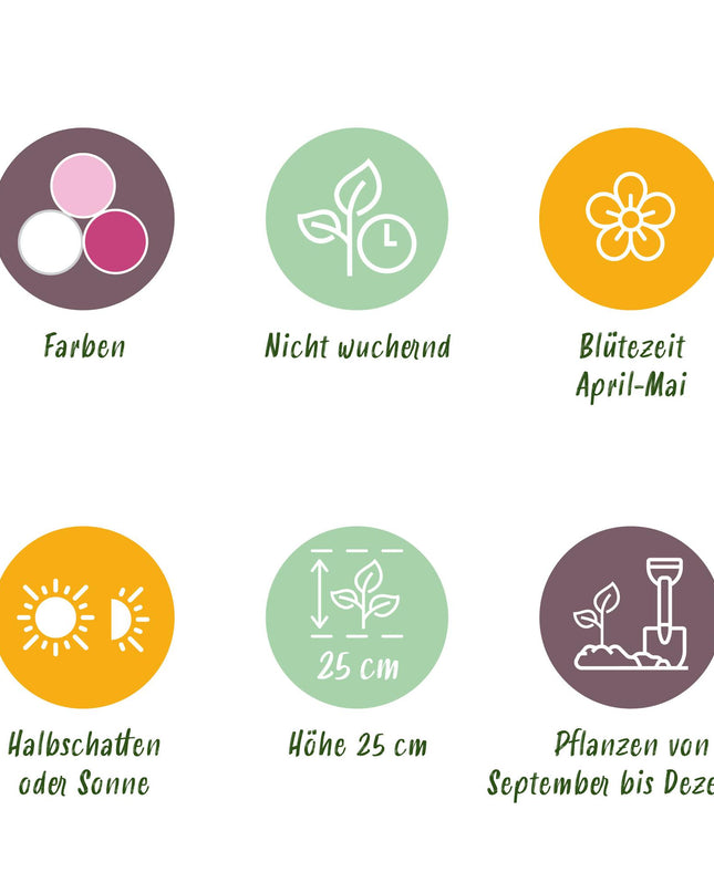 Bloembollen - Hyacinth Pastel mix - Diversen Pastel Kleuren - 10 stuks - Bolmaat 14/15 - XXL Pack