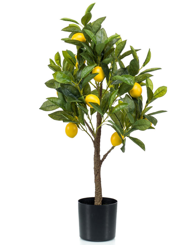 Kunstplant - Citrus Limonia - Citroenboom - ↕ 75 cm