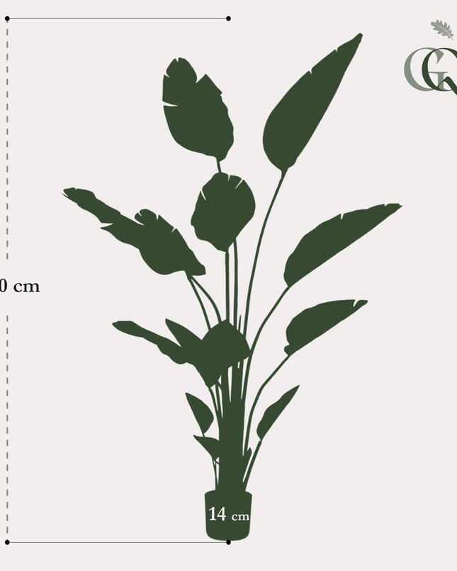 Kunstplant - Strelitzia Nicolai - Paradijsvogelbloem - ↕ 150 cm
