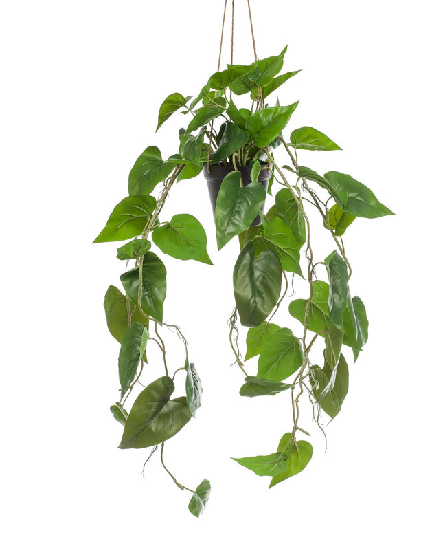 Kunstplant - Philodendron scandens - Klimmende Boomliefhebber - ↕ 80 cm