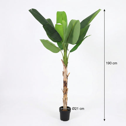 Planta artificial Plátano Musa - 190cm
