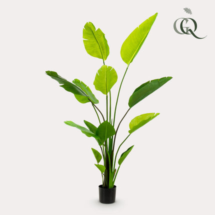 Kunstplant - Strelitzia Nicolai - Paradijsvogelbloem - ↕ 150 cm