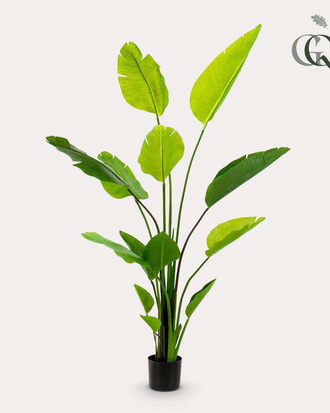 Kunstplant - Strelitzia Nicolai - Paradijsvogelbloem - ↕ 150 cm