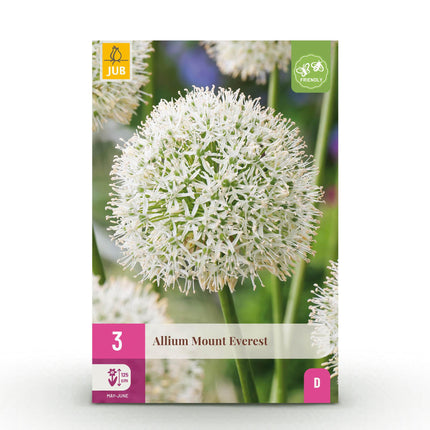 Bloembollen - Allium Mount Everest - Kleur Wit - 3 stuks - Bolmaat 16/18 - XXL Pack