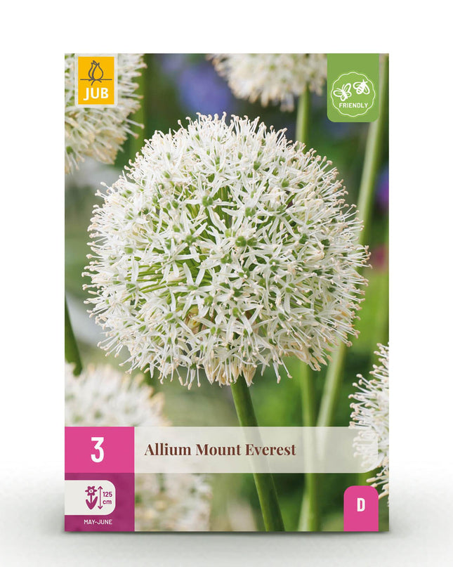 Bloembollen - Allium Mount Everest - Kleur Wit - 3 stuks - Bolmaat 16/18 - XXL Pack