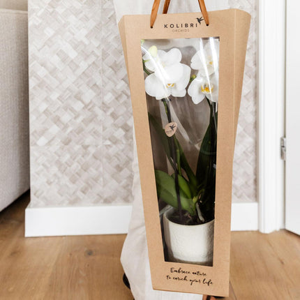 Gift bag for Orchid with Decorative Pot 9cm