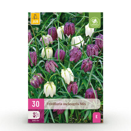 Bloembollen - Fritillaria Meleagris Mix - Kleur Paars en Wit - 30 stuks - Bolmaat 6/7 - XXL Pack
