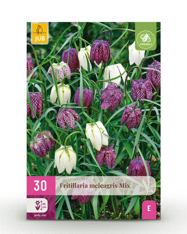Bloembollen - Fritillaria Meleagris Mix - Kleur Paars en Wit - 30 stuks - Bolmaat 6/7 - XXL Pack