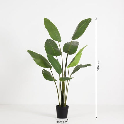 Planta artificial Strelitzia Nicolai - 180 cm