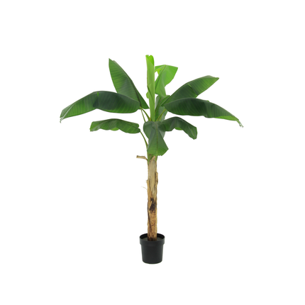 Planta artificial Planta de plátano Musa - 180cm