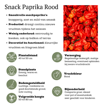 Mezcla de verduras rojas para cosechar de 3 plantas - Tomate cherry - Pimiento snack rojo - Planta de chile rojo picante - Ø 14 cm - ↨ 45 cm