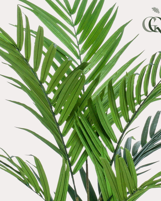 Kunstplant - Kentia -Kentiapalm - ↕ 180 cm