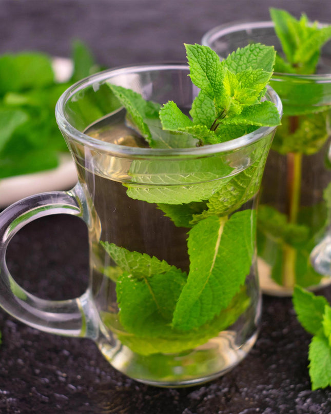 Borderpakket - Thee kruiden - 8 Vaste planten - 1 m2 - Diversen kleuren - Weinig Onderhoud - Pot 11cm