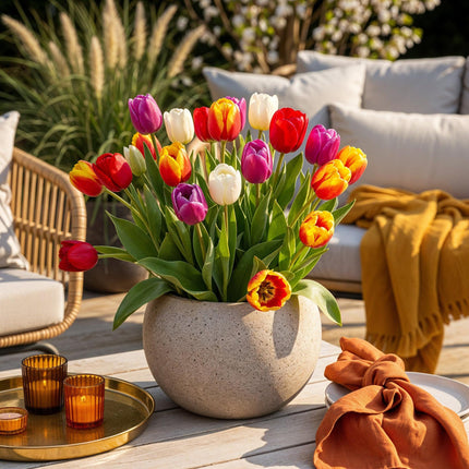 Bloembollen - Tulp Triumph mix - Diversen kleuren - 15 stuks - Bolmaat 11/12 - XXL Pack