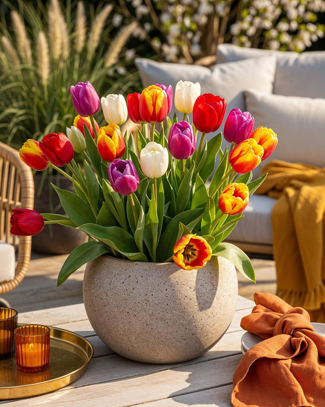 Bloembollen - Tulp Triumph mix - Diversen kleuren - 15 stuks - Bolmaat 11/12 - XXL Pack