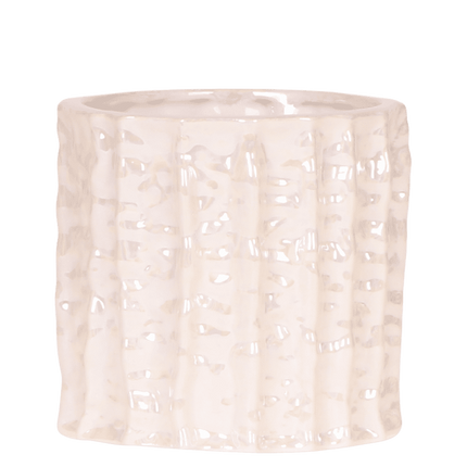Set de regalo de orquídea Amabilis blanca - incluye caja de regalo, orquídea y maceta decorativa - Ø9cm