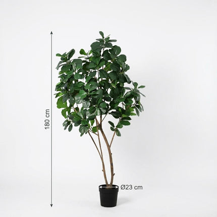 Planta artificial Ficus Lyrata - 180cm