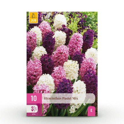 Bloembollen - Hyacinth Pastel mix - Diversen Pastel Kleuren - 10 stuks - Bolmaat 14/15 - XXL Pack