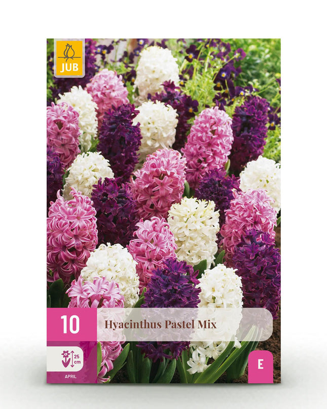 Bloembollen - Hyacinth Pastel mix - Diversen Pastel Kleuren - 10 stuks - Bolmaat 14/15 - XXL Pack
