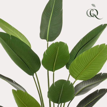 Kunstplant - Strelitzia Nicolai - Paradijsvogelbloem - ↕ 190 cm