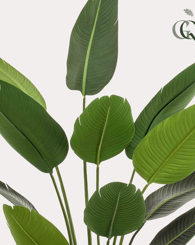Kunstplant - Strelitzia Nicolai - Paradijsvogelbloem - ↕ 190 cm