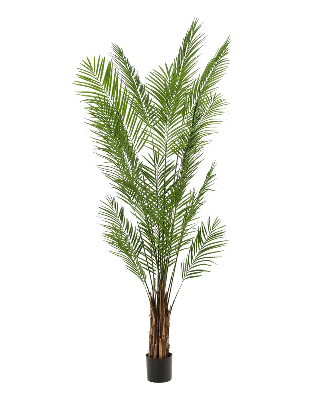 Kunstplant - Areca Lutescens - Goudpalm - ↕ 240cm