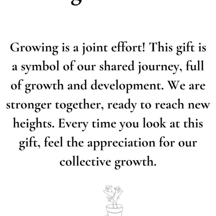 Sansevieria Gift "Let's Grow With Us" met wenskaart - Ø12cm - ↕30cm