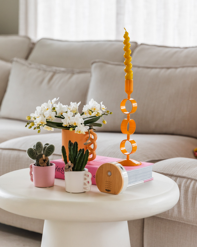 Scatola musicale Melodiez - Legno