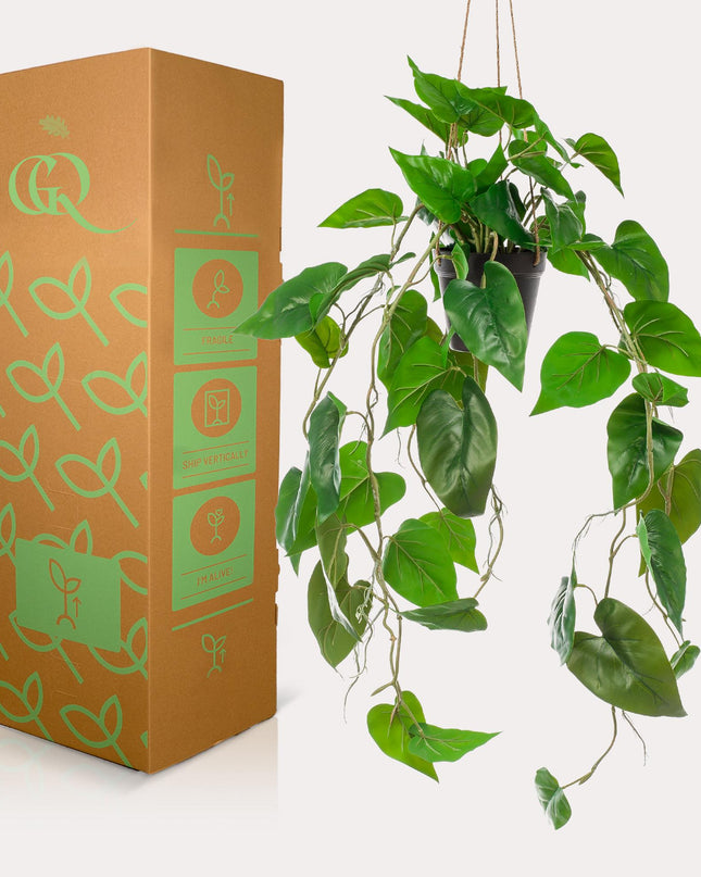 Kunstplant - Philodendron scandens - Klimmende Boomliefhebber - ↕ 80 cm