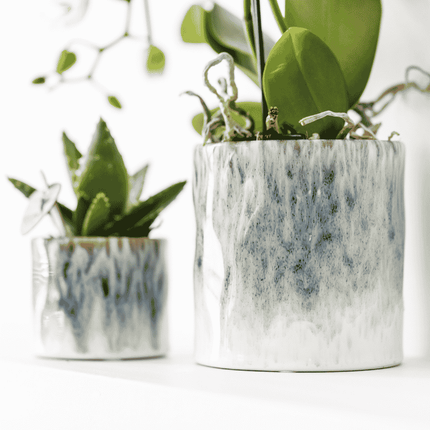 Witte Amabilis orchidee cadeauset - incl. giftbox, orchidee & sierpot - Ø9cm