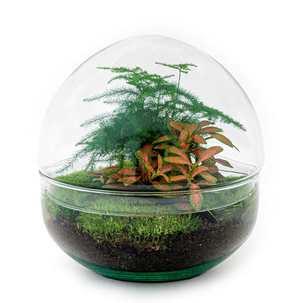 DIY Planten terrarium tweedelig bolglas - Dome Red - Ø 20 cm ↕ 20 cm   - Rake + Shovel + Tweezer