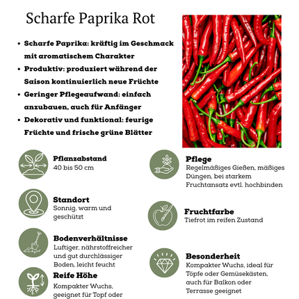 Mezcla de verduras rojas para cosechar de 3 plantas - Tomate cherry - Pimiento snack rojo - Planta de chile rojo picante - Ø 14 cm - ↨ 45 cm