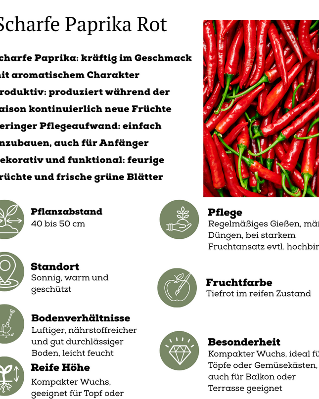 Red Harvest Vegetable Mix of 3 Plants - Cherry Tomato - Red Snack Pepper - Red Hot Pepper Plant - Ø 14 cm - ↨ 45 cm