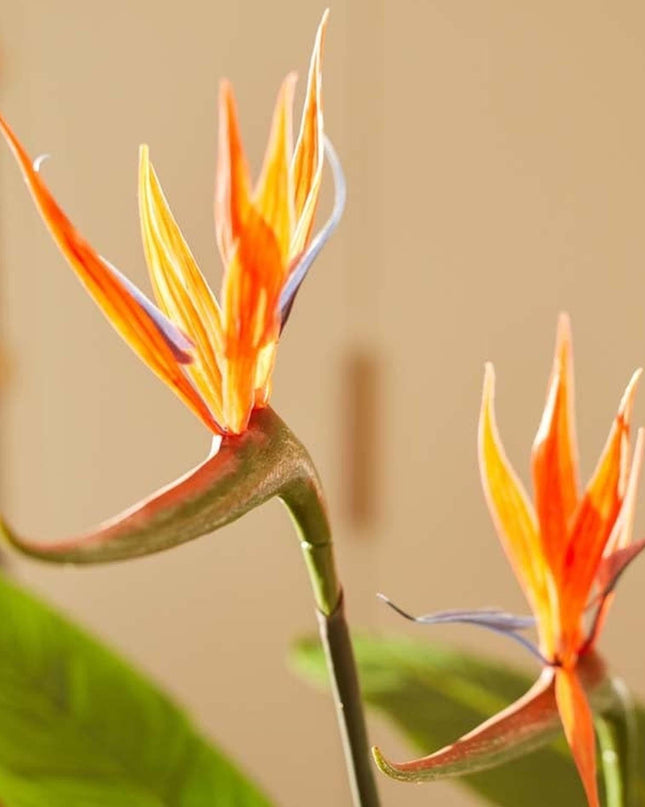 Kunstplant - Strelitzia met bloemen - ↕ 120cm - In zwarte pot