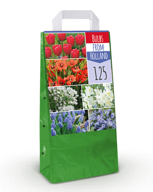 Bloembollen uit Nederland - Diversen Kleuren - 125 stuks - Gift Verpakking