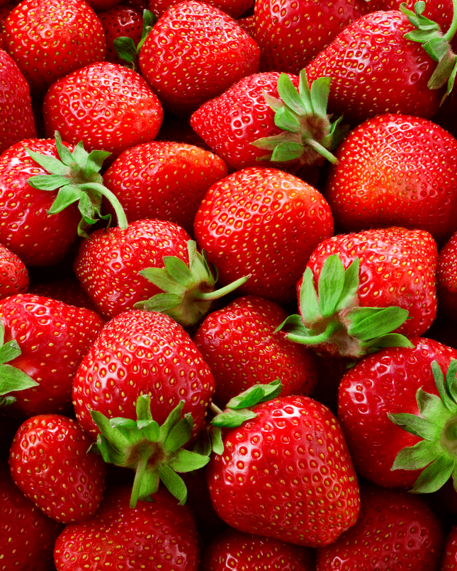 Piante di fragole BIO 6 pezzi