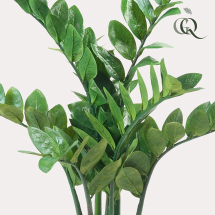 Kunstplant - Zamioculcas - Kamerpalm - ↕ 70 cm