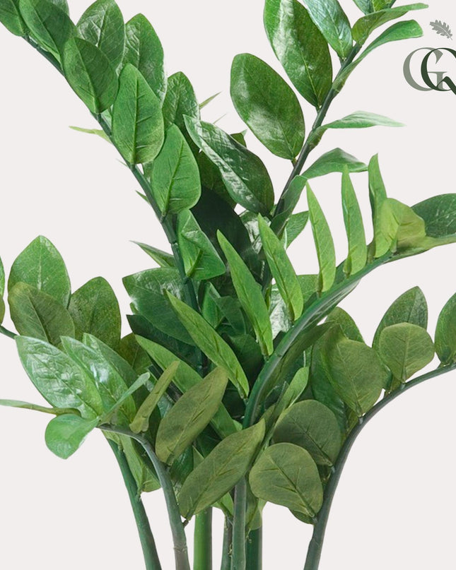 Kunstplant - Zamioculcas - Kamerpalm - ↕ 70 cm