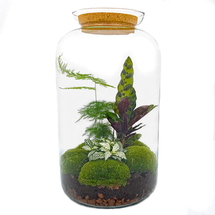 DIY Planten terrarium met licht - Sven XL Botanical - Ø 23 cm ↕ 43 cm - Rake + Shovel + Tweezer + Scissors