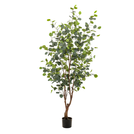 Kunstplant - Eucalyptus - Blauwe Gomboom  - ↕ 140 cm