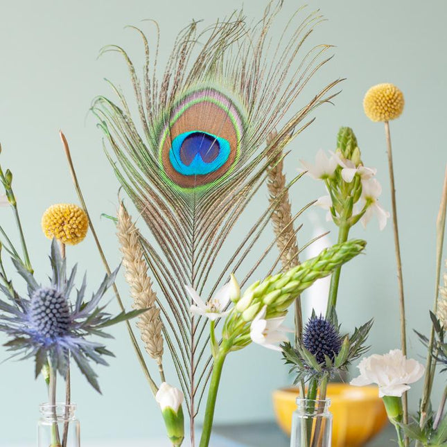 Flower Fest - Brievenbuscadeau