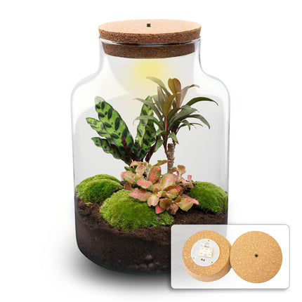 DIY Planten terrarium met licht - Milky Palm - Ø 21 cm ↕ 30 cm