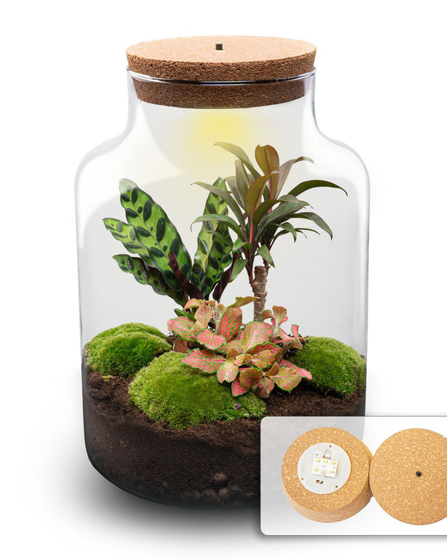 DIY Planten terrarium met licht - Milky Palm - Ø 21 cm ↕ 30 cm