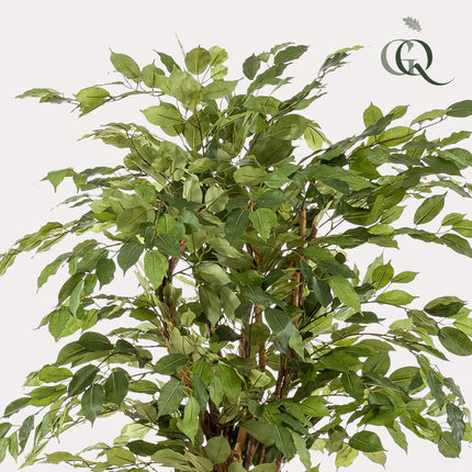 Kunstplant - Ficus liana  - Vioolbladplant - ↕ 170cm