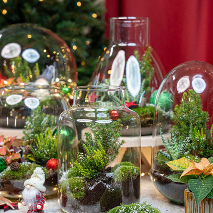Kerstmis terrarium - Planten terrarium  - DIY kit Christmas - Ø 19 cm ↑ 20 cm